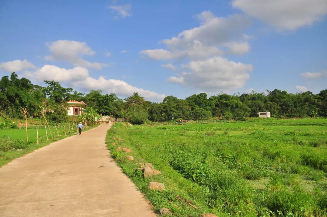 到海口琼山区不来雅蔡冷泉清凉一夏？