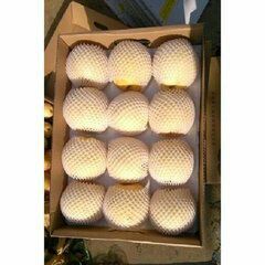 南阳博望规划图,南阳博望最新规划图