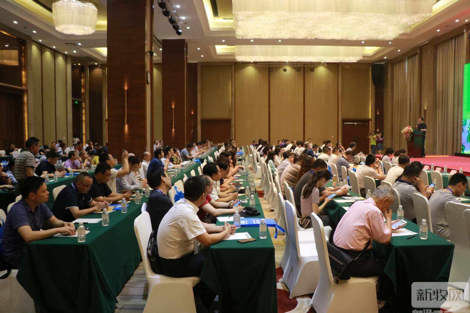 洪平：猪价低就该给猪吃便宜的饲料？