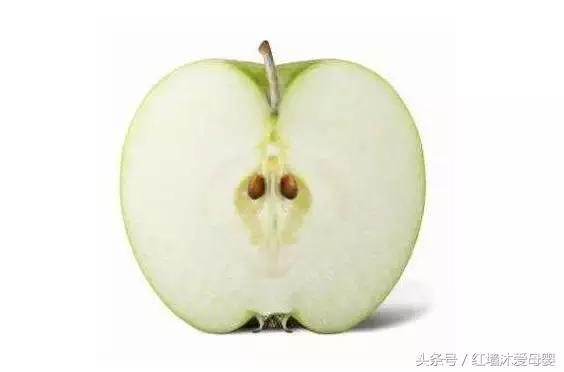 孕期指南孕五周,孕期指南免费