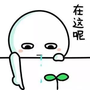 徐静蕾冻卵的危害,林志玲为什么要冻卵