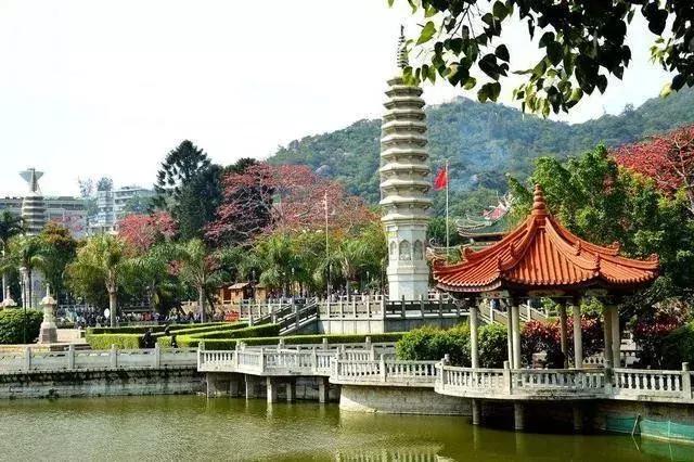 厦门旅游攻略3天2晚自由行本地游,厦门旅游攻略3天2晚自由行亲子