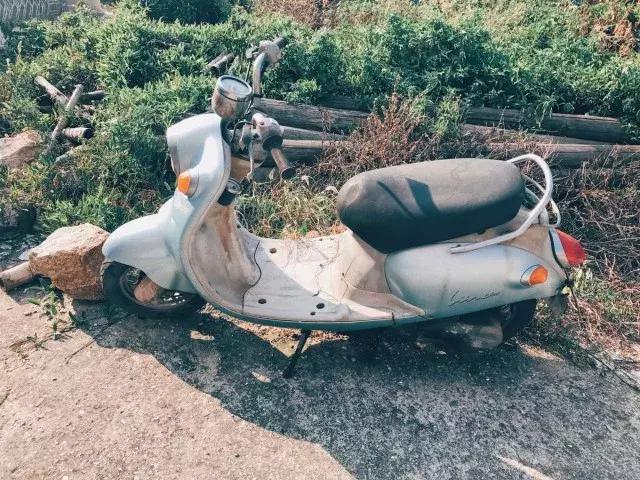 周末游好去处桃花源,哪里有世外桃源适合散心