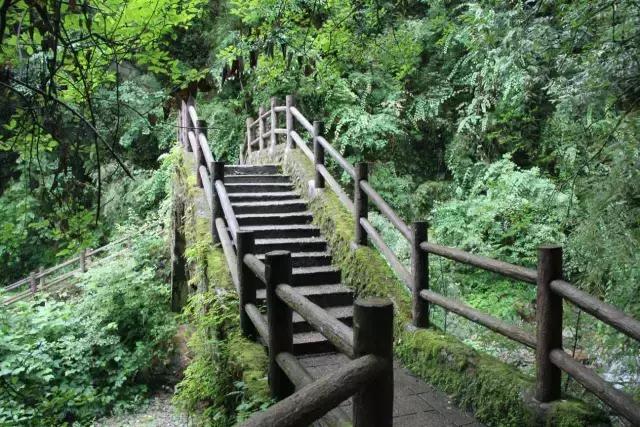 四川青城山景区免票,四川对浙江省免票的旅游景区