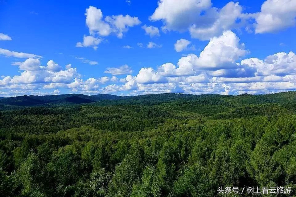 伊春最值得去的地方,伊春最美的风景