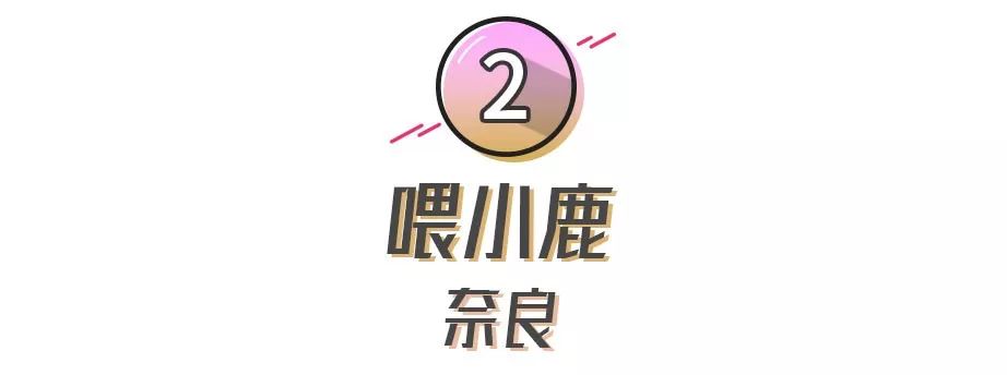 靠谱的日本代购推荐,如何寻找靠谱日本代购