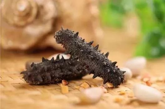 震惊正宗海参竟卖这么低的价格,海参价格良心到爆