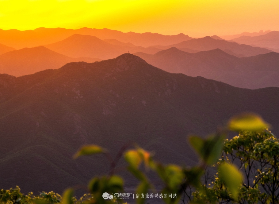 周总理关注的“辽西绿岛”已是天然氧吧