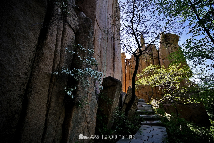 周总理关注的“辽西绿岛”已是天然氧吧