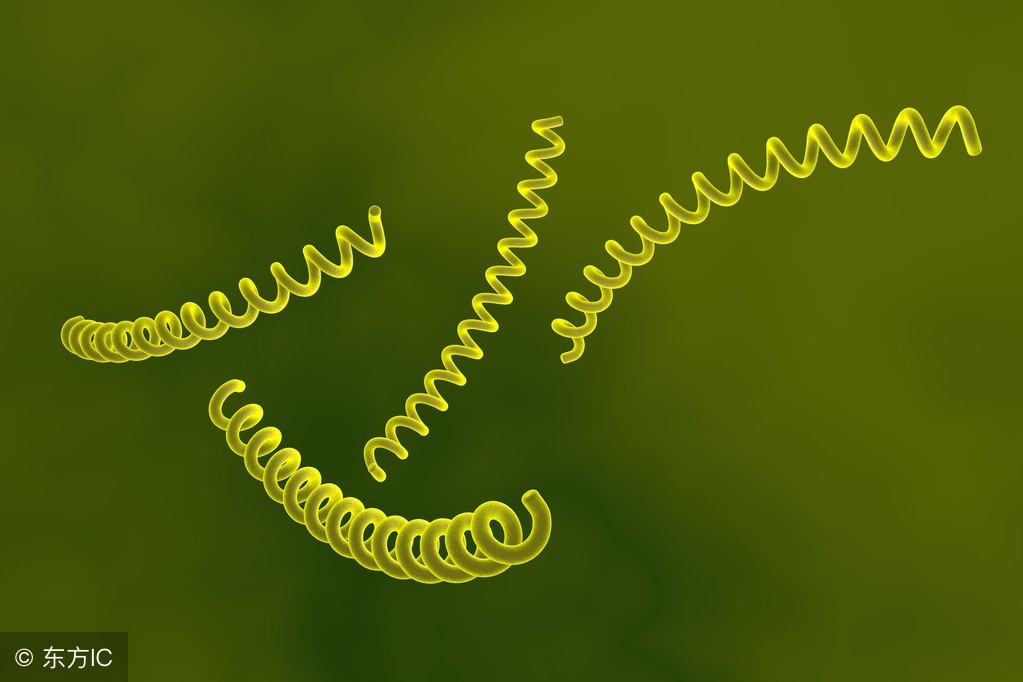 怀孕可以查出孩子患有梅毒吗,怀孕查出梅毒怎么处理