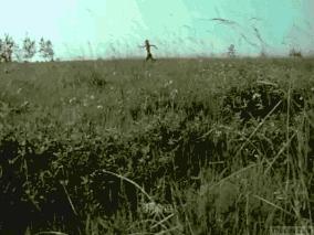 无缘孙燕姿完整版,金曲奖2019孙燕姿得奖了没