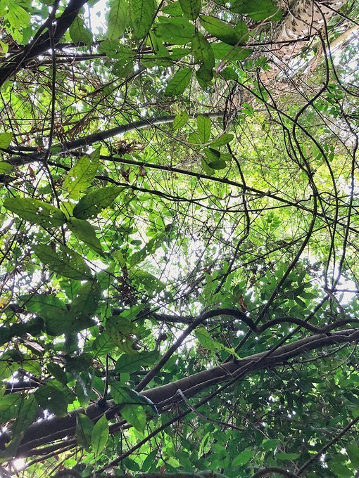 4月泰国泼水节攻略,芭提雅旅游数据泼水节
