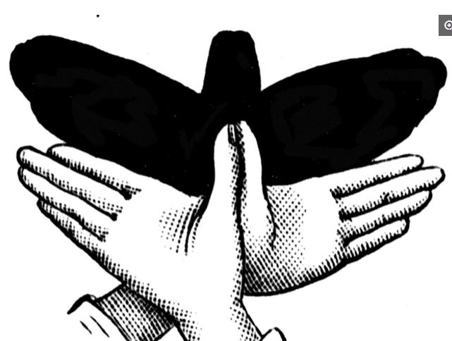 教小朋友做手影游戏,手影幼儿游戏