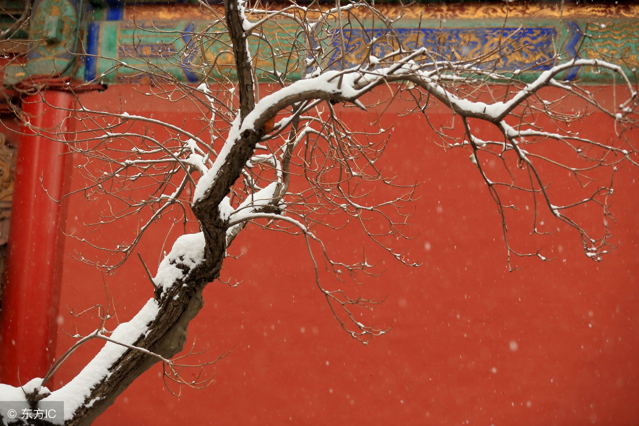 汉武帝、唐太宗、天干、地支……中国六*纪大**年*法大**你知道几个？