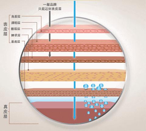 陆毅贝儿眼膜,陆毅用的眼膜