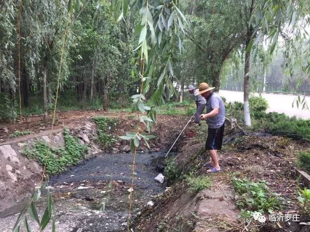 罗庄新闻决战创城,罗庄创城热情持续高涨