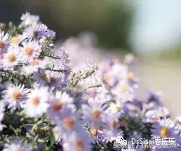 专业去除各种斑痘,专治脸上各种斑各种痘