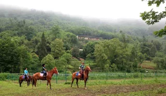 海南推出1000个共享农庄,海南共享农庄批几个村庄