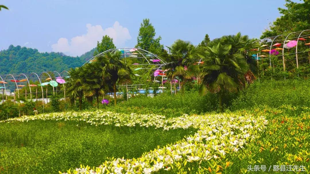 女朋友和老婆的定义是什么,女朋友和老婆的定义