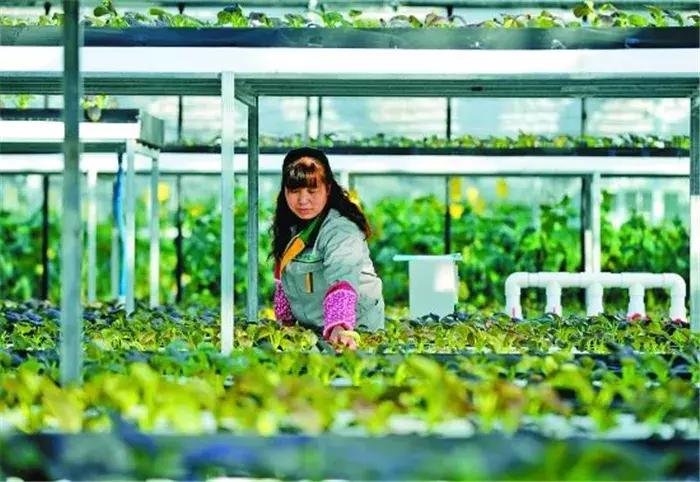 嗨起来五一游玩,必去的13个免费景区