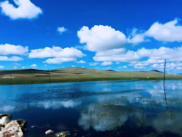 策马奔腾呼伦贝尔大草原旅行,大连呼伦贝尔大草原自驾游记