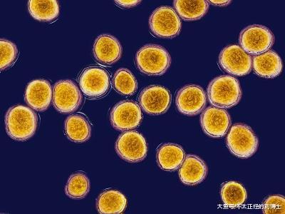 羞耻到痛!女性产前内检,比生孩子更奔溃!居然要检查这两个部位