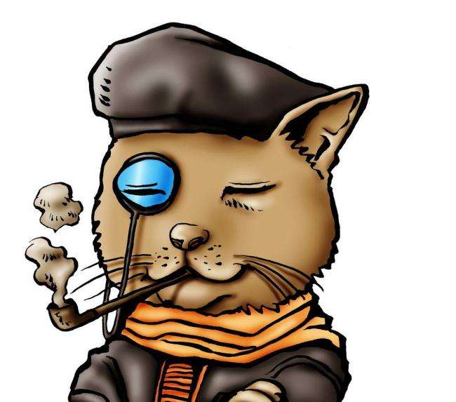 怎样知道猫咪的星座是什么座,十二星座的猫咪性格排名