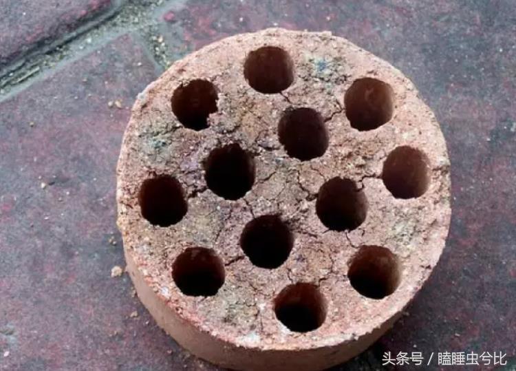 颗粒土和营养土哪个养多肉好,养多肉用什么土和什么肥料