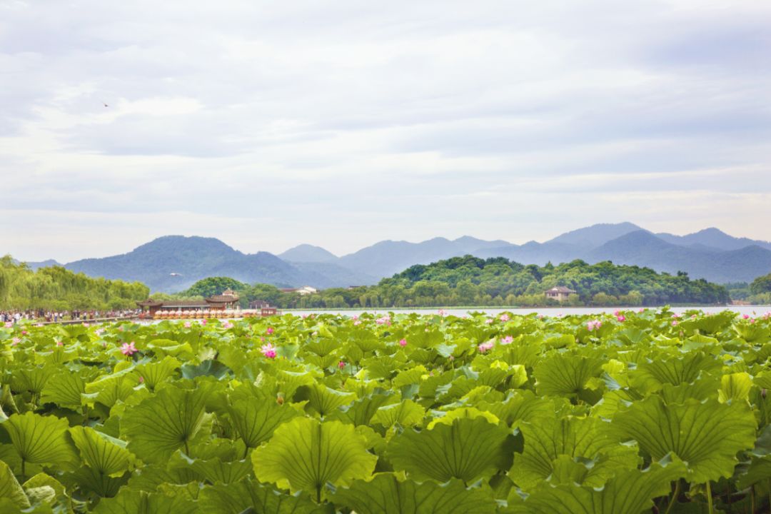余杭一日游最佳景点,余杭人福利