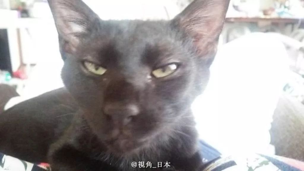 山田孝之为什么这么胖,山田孝之真实身高是多少