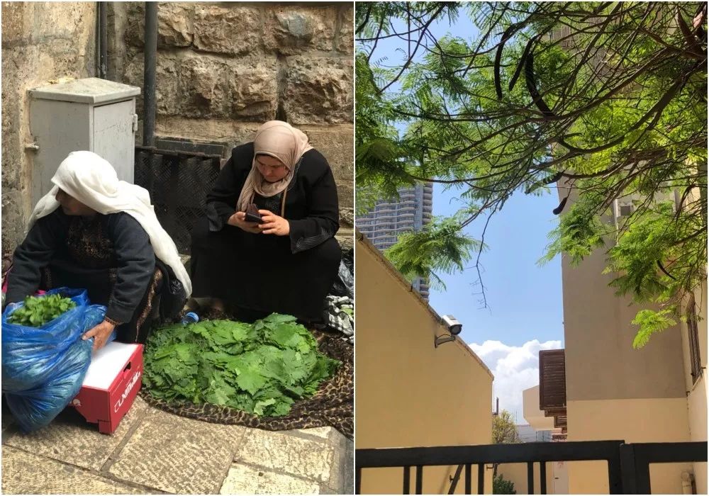 私奔为什么那么难,私奔为什么要私奔