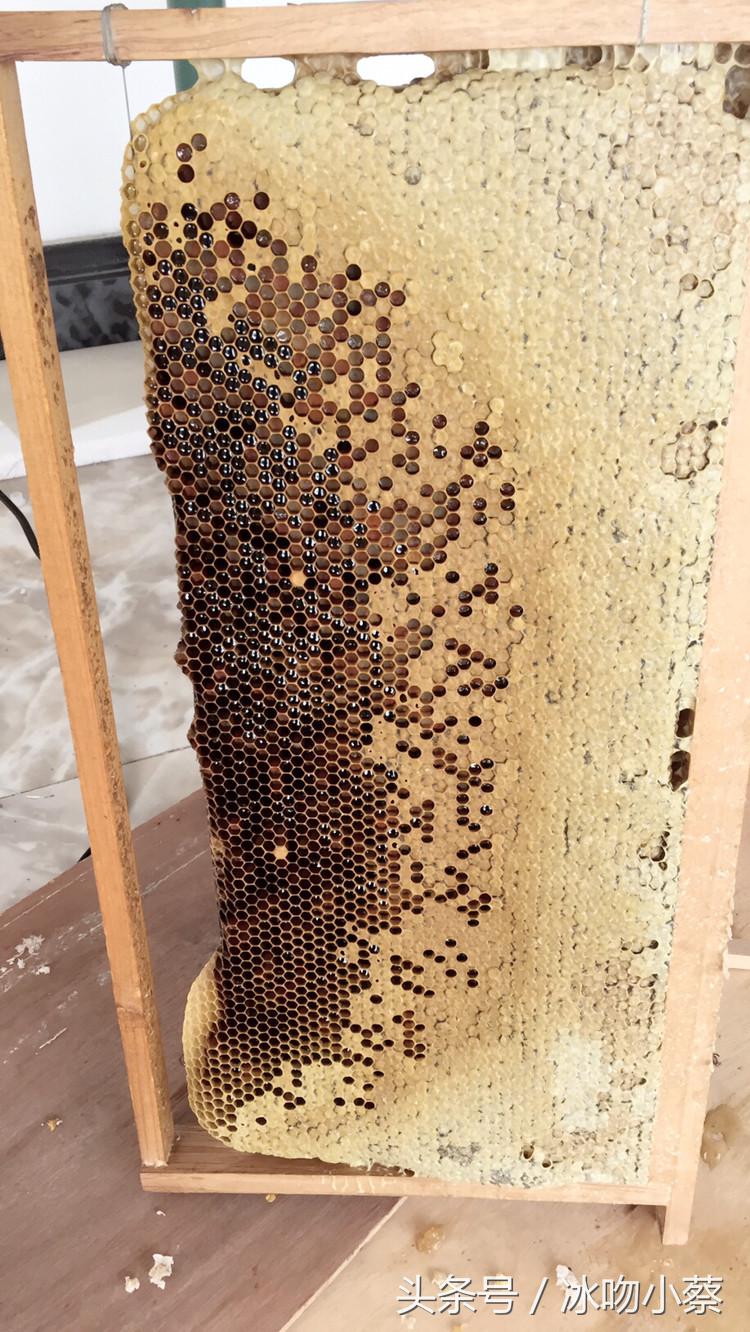 领导说了粉蜜源压子一定要解决