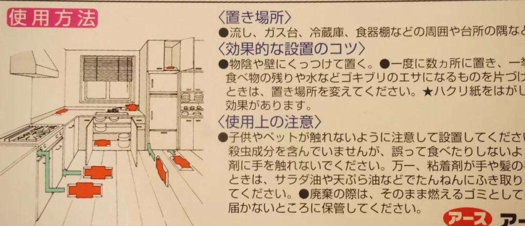 我竟然给蟑螂买了一套房子并请它喝了一罐哈尔滨？