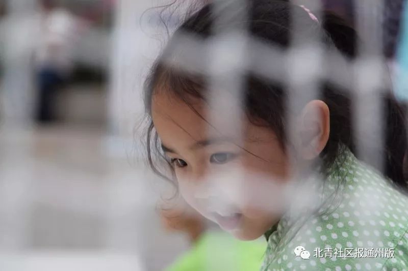 86岁老人挑战吉尼斯纪录,农民大爷挑战吉尼斯纪录