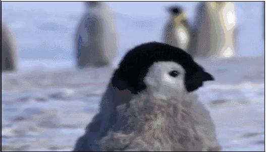 什么是脸盲症图片,轻微的脸盲症是真的吗