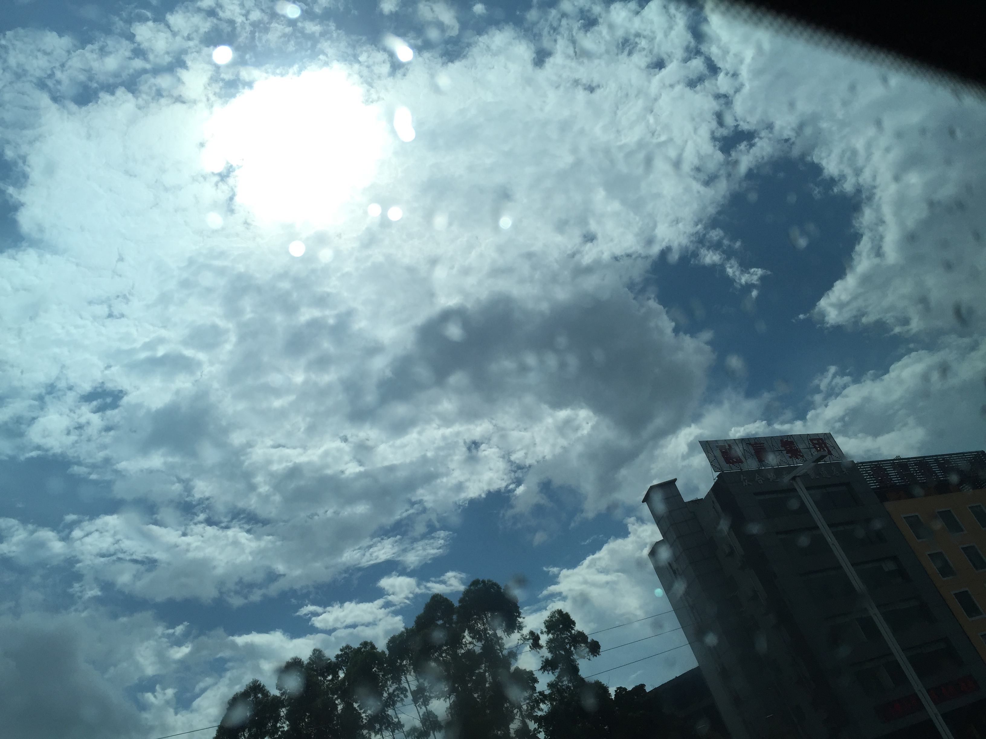 广州长隆游乐园明信片怎么写,广州长隆游记300字