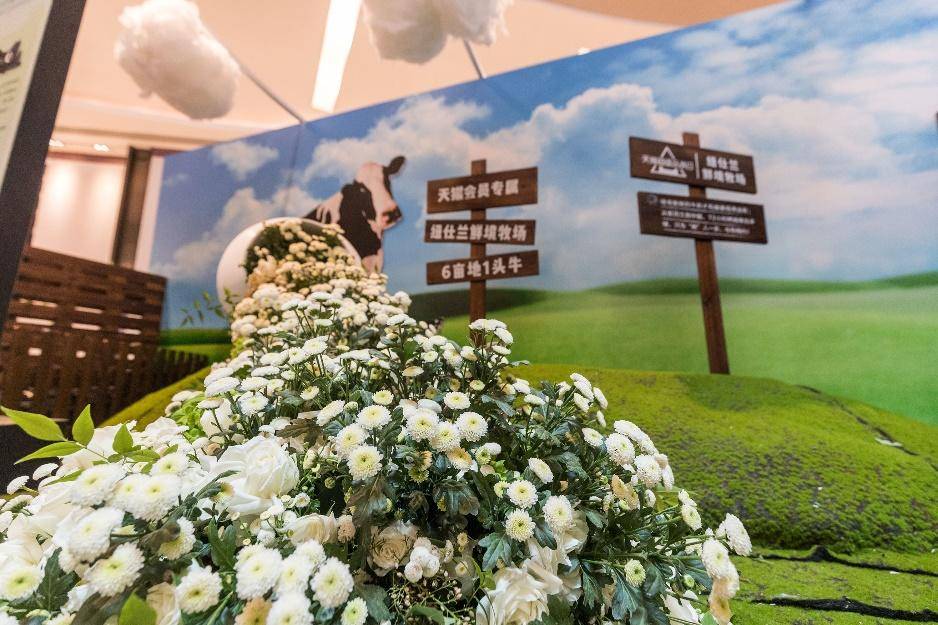 天猫超级品牌日,天猫超级品类日新品首发