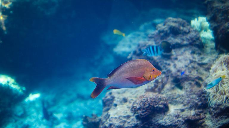 数博会行程,数博会放假地区有哪些