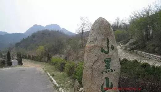 大连周边最佳赏槐地美的让人窒息