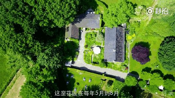 抑郁症疗愈花园,抑郁情绪疗愈法