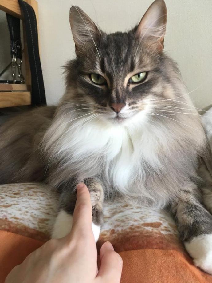 儿童报警求助知识,孩子报警求助教科书