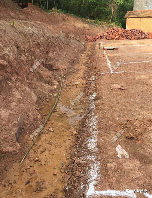 江西人养殖蜈蚣致富案例,广西养殖蜈蚣致富