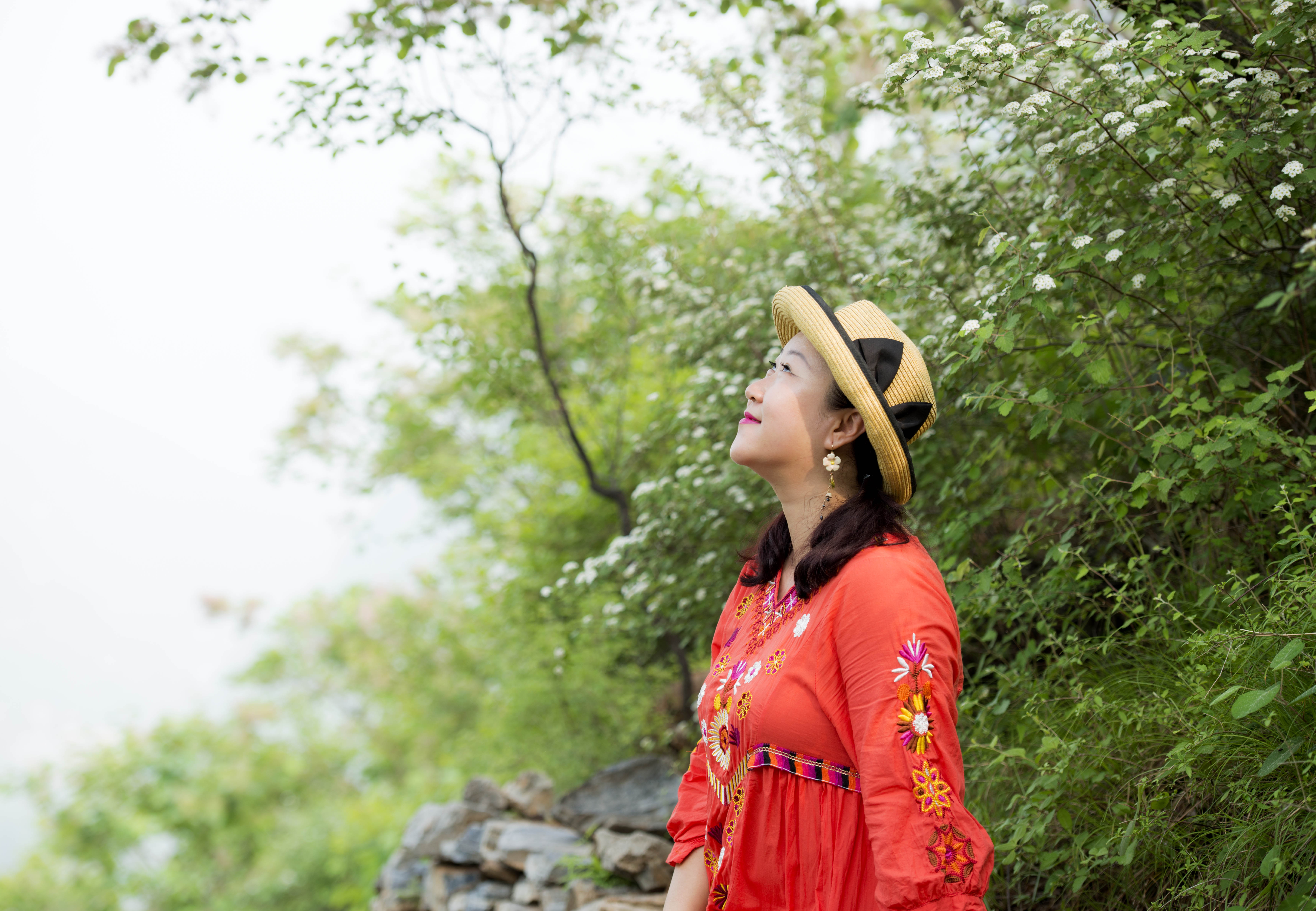 摘一簇黄栌花，把浪漫带回姥姥家，但它柔软的花身却让人不舍碰它