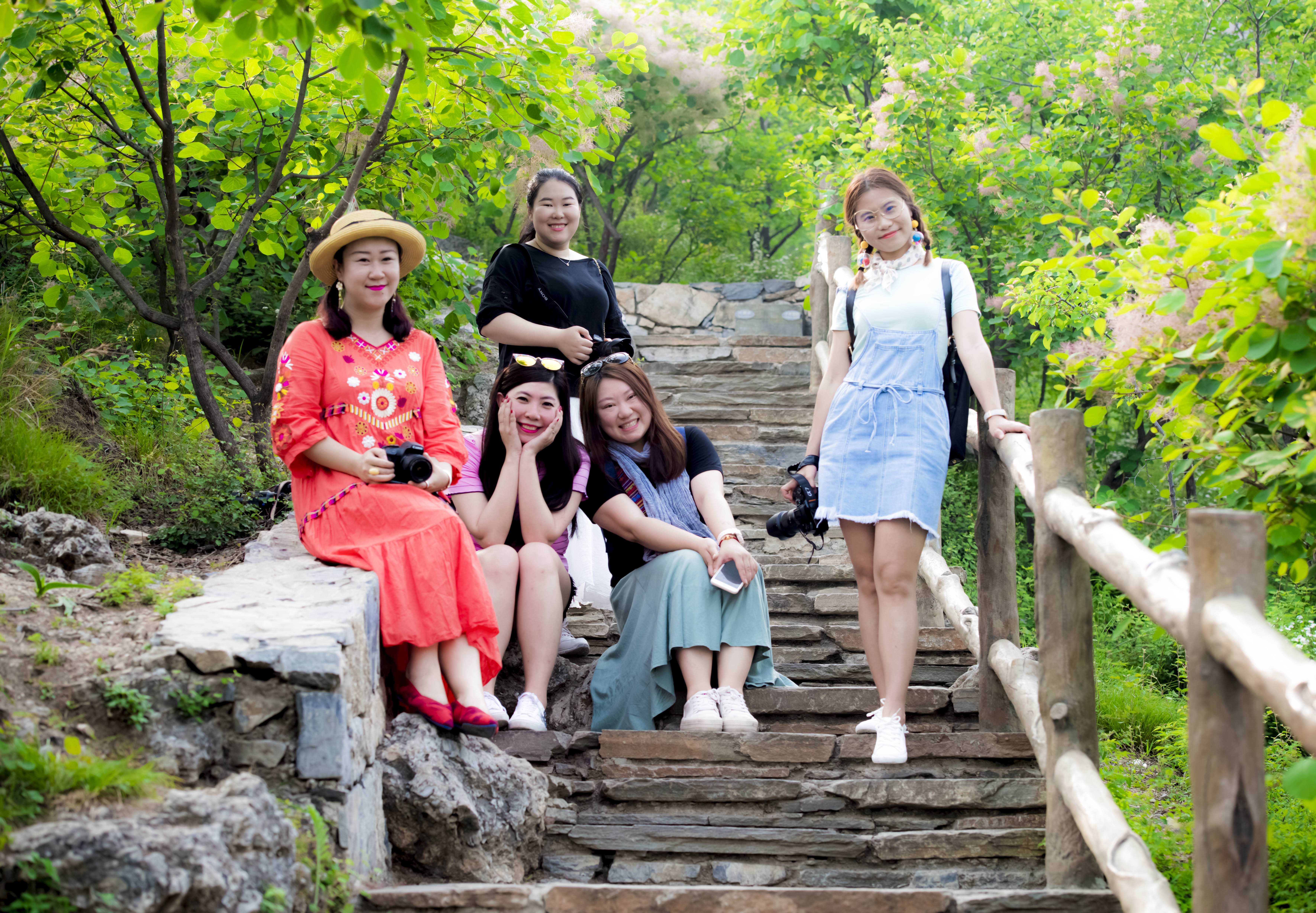 摘一簇黄栌花，把浪漫带回姥姥家，但它柔软的花身却让人不舍碰它