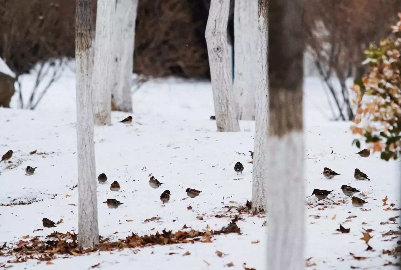 如果我爱你，我会牵你走遍大东软