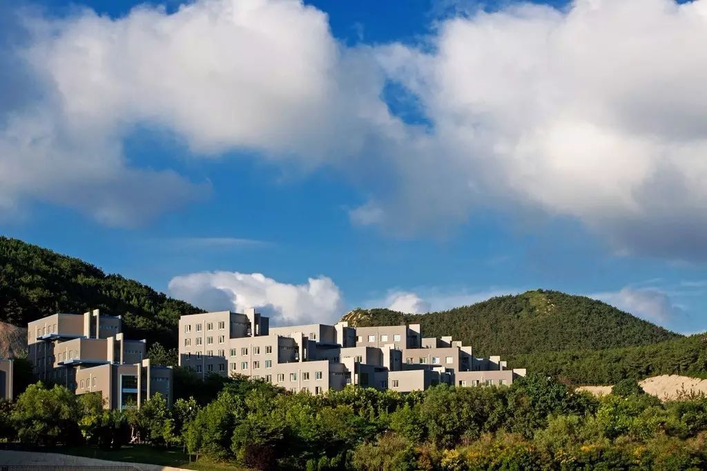 如果我爱你，我会牵你走遍大东软