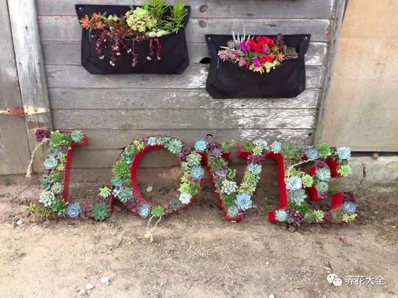 老外私家花园景观,国外多肉花园