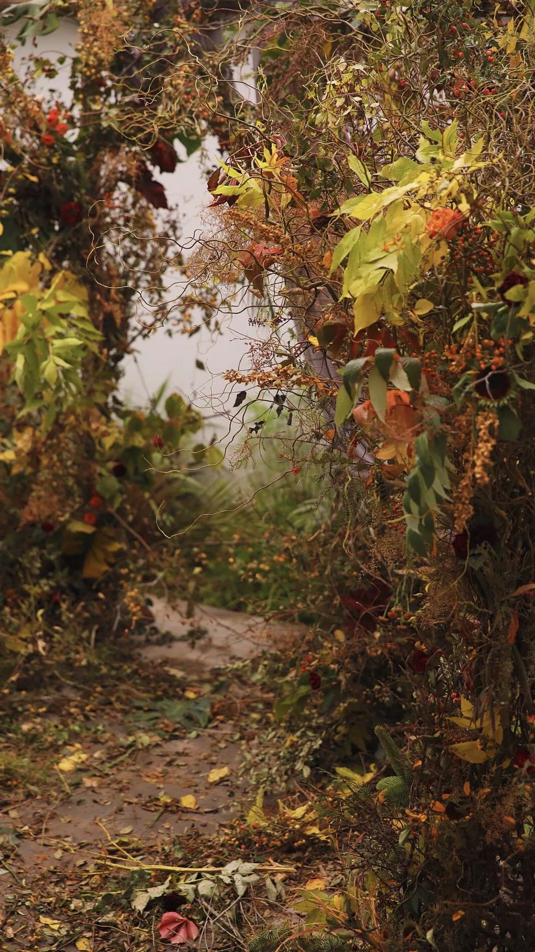 先锋花艺官网,先锋花艺培训