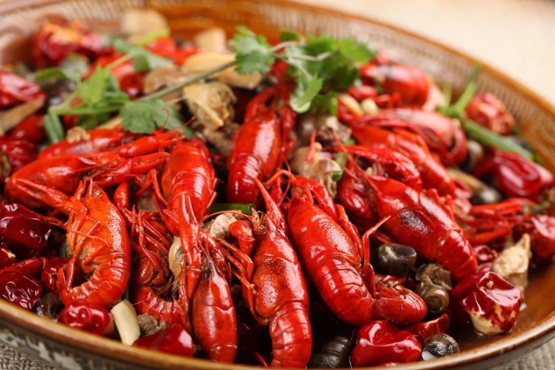 科学生活：人人都该知道的15条养生小秘诀~