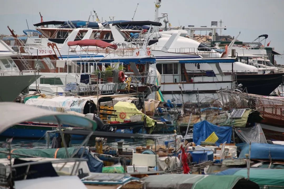 香港仔避风塘的介绍,香港仔避风塘图片